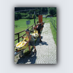 DSC00074.png